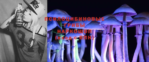 винт Вяземский