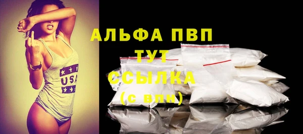 винт Вяземский