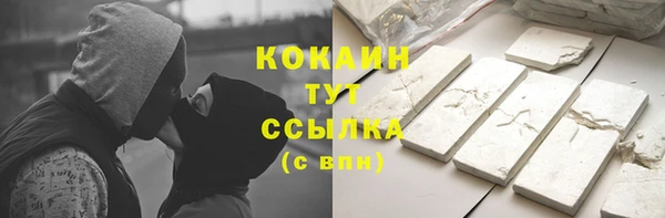 винт Вяземский