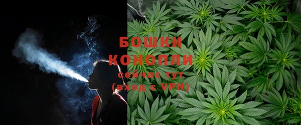 МДПВ Вязьма
